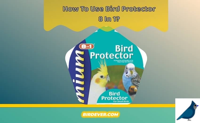 How To Use Bird Protector 8 In 1