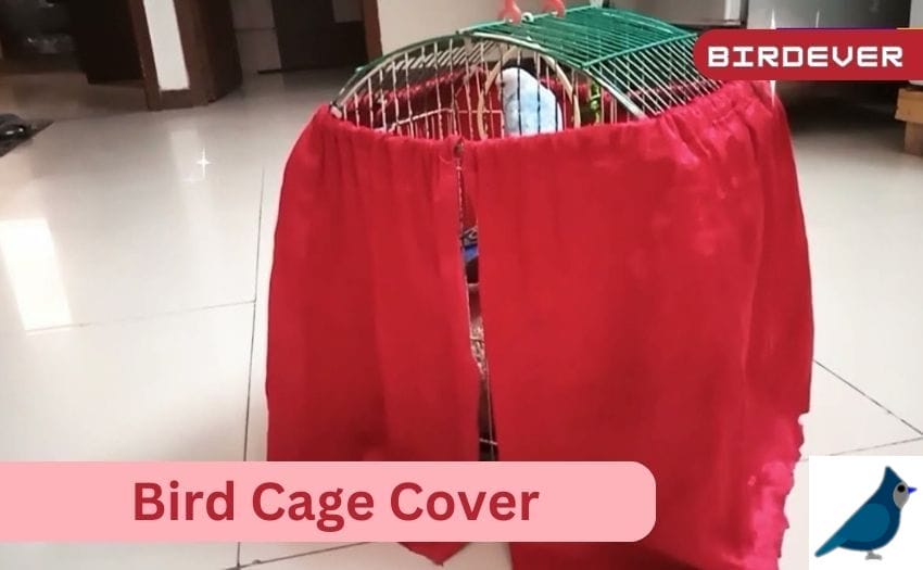 Bird Cage Cover