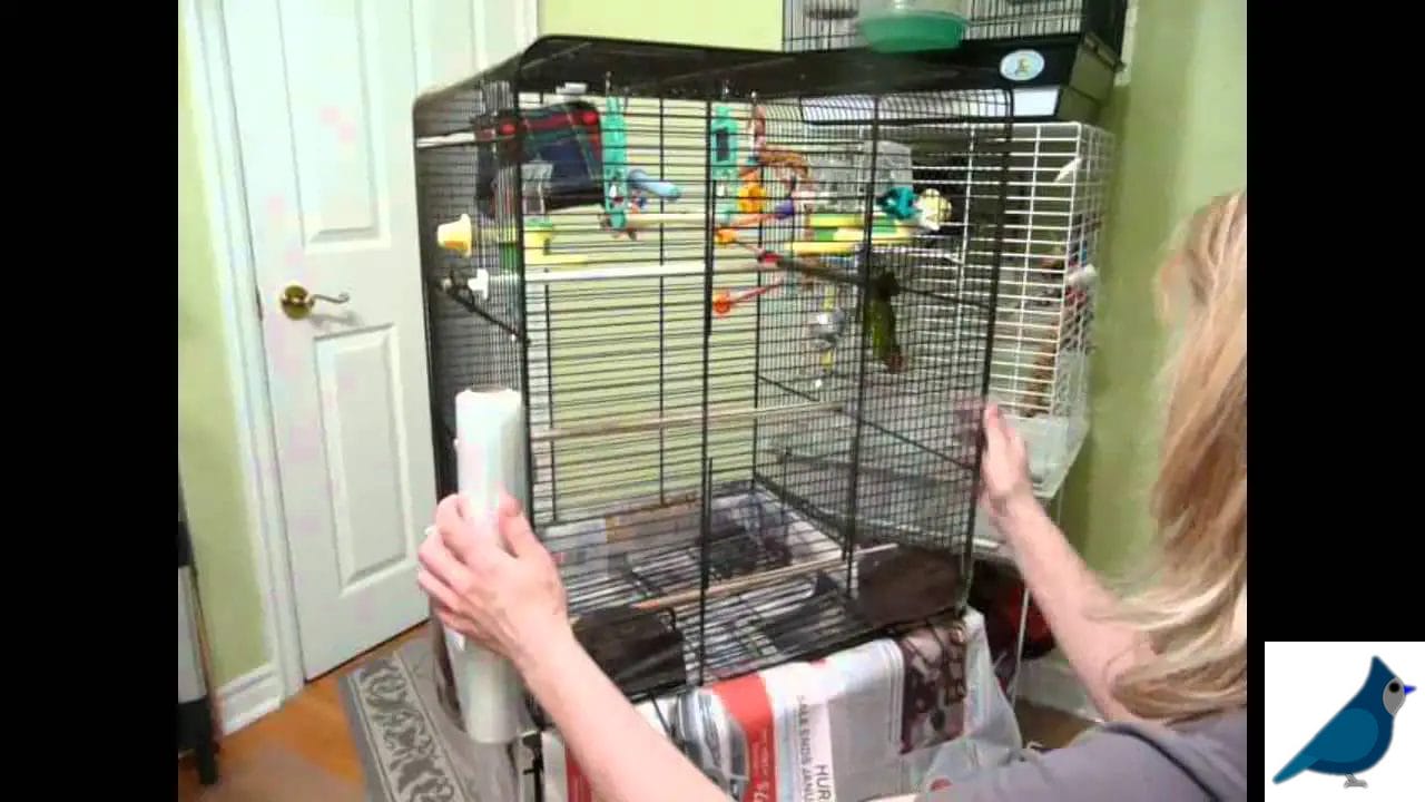 Cleaning the Bird Cages