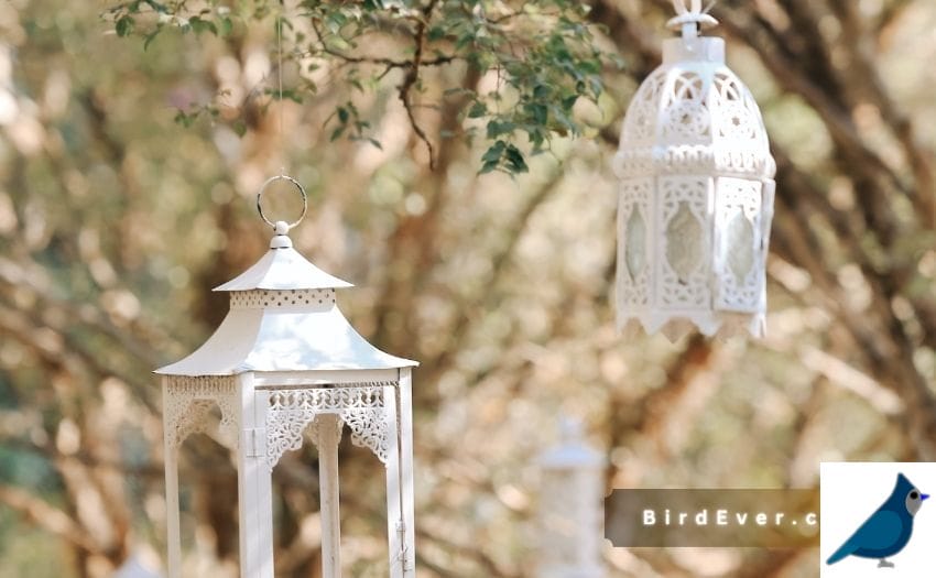 Vintage Lantern Birdcage