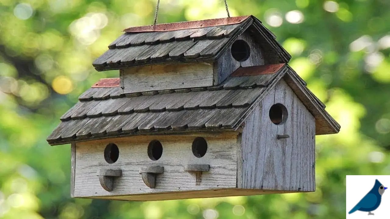 Aesthetic Bird house like human house