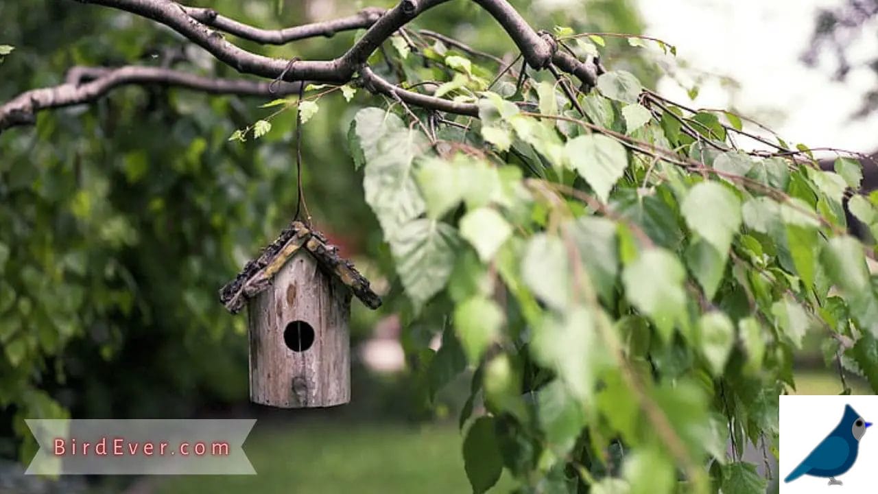 Create Homemade Bird Perches from Tree Branches DIY Guide