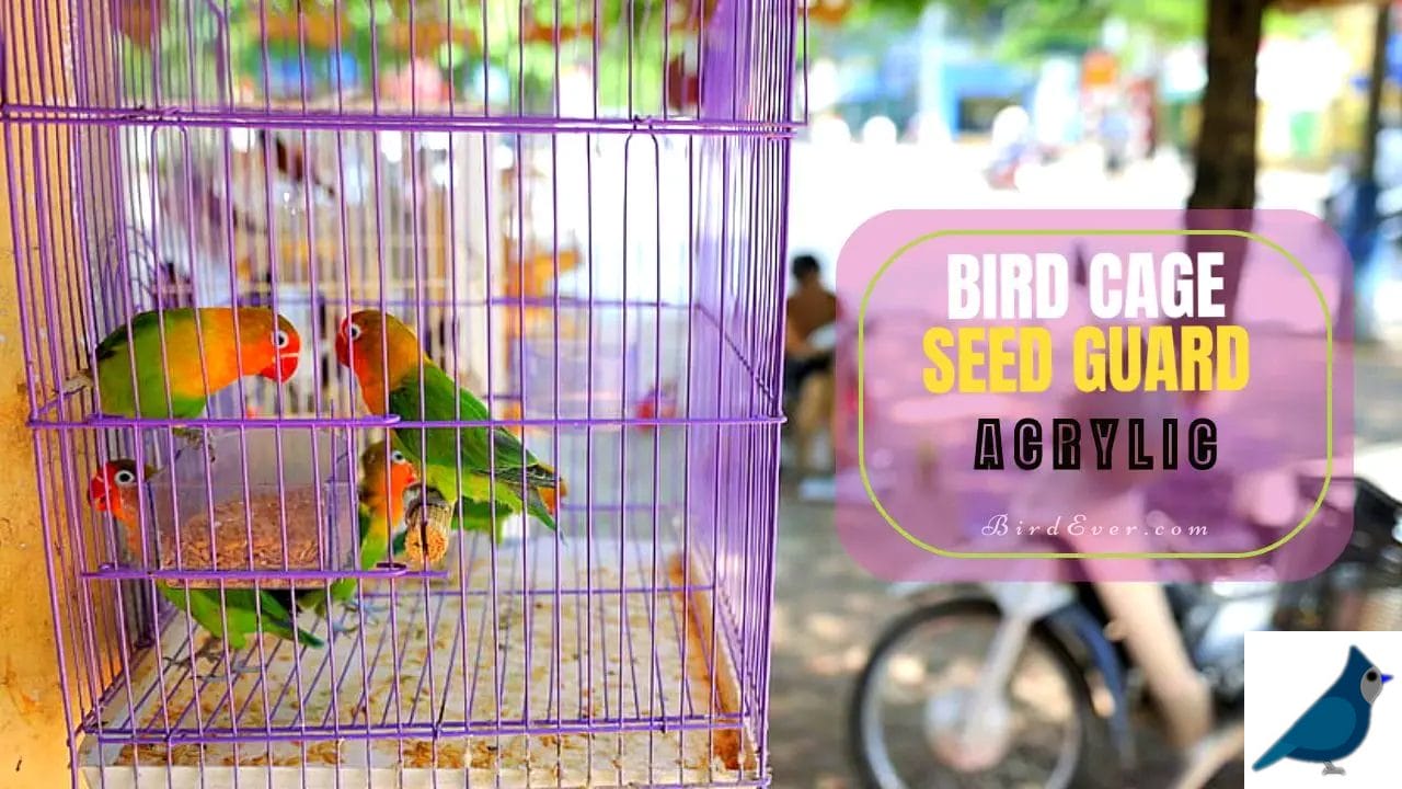 Bird Cage Seed Guard Acrylic