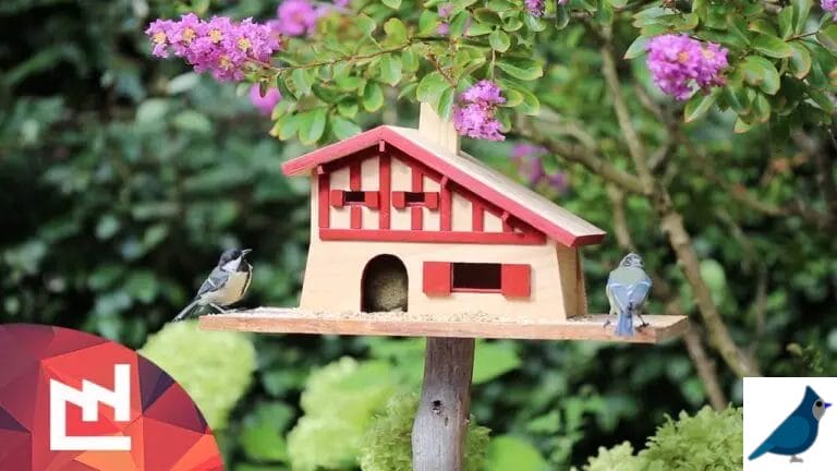 Bird Houses That Look Like Your House