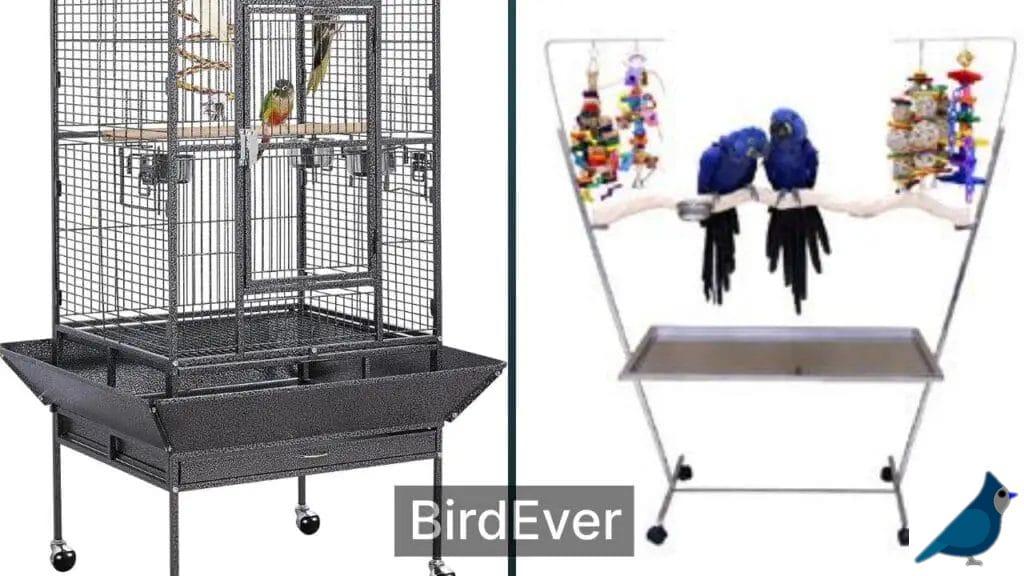 Bird Play Stand