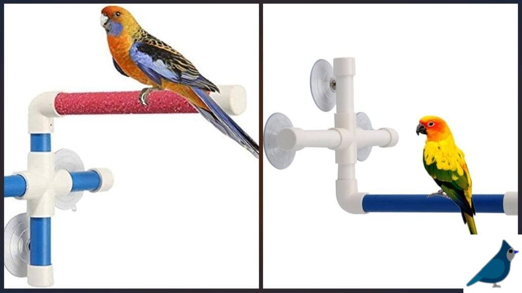 Suction Cup Bird Perch Benefits