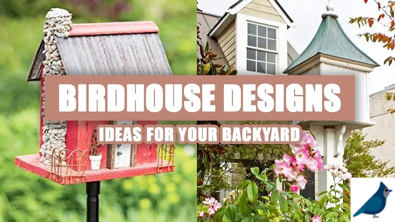 Understanding the Art of Personalized Birdhouse Design