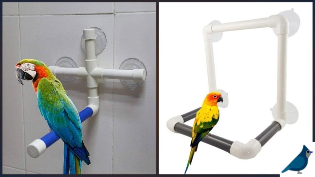 What Makes Suction Cup Bird Perches Unique
