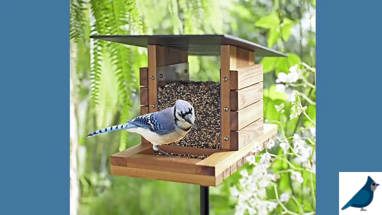 Bird Feeders That Look Like Houses