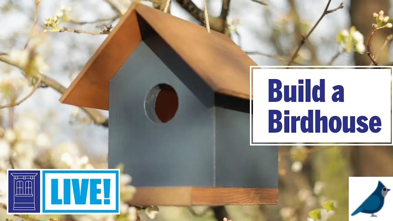 how to build a bird house