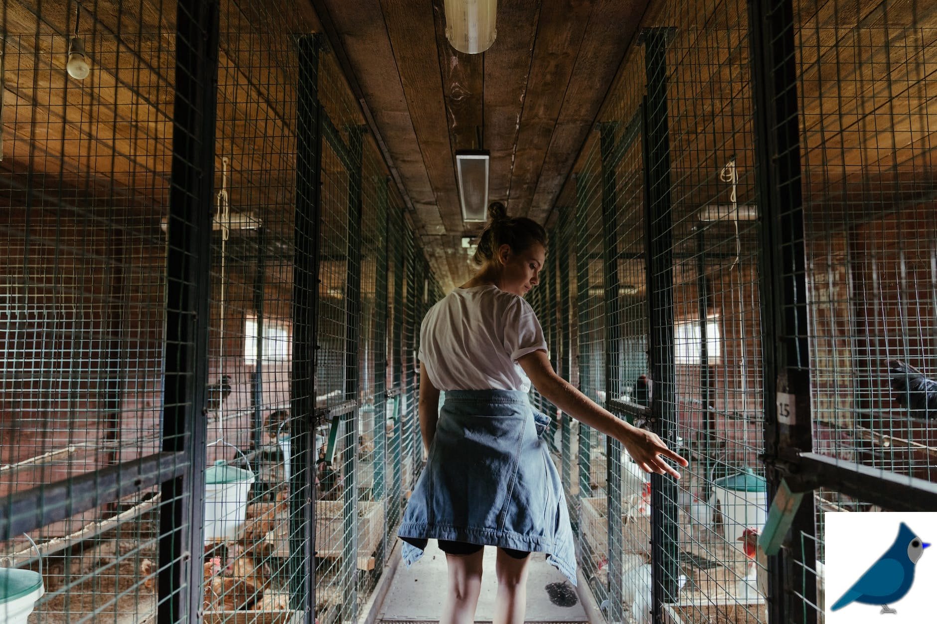 woman in white t shirt and black skirt standing on gray metal fence