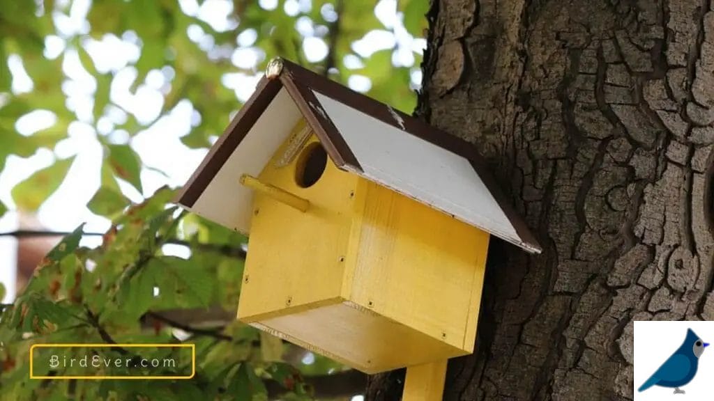 Bird House Entrance Hole