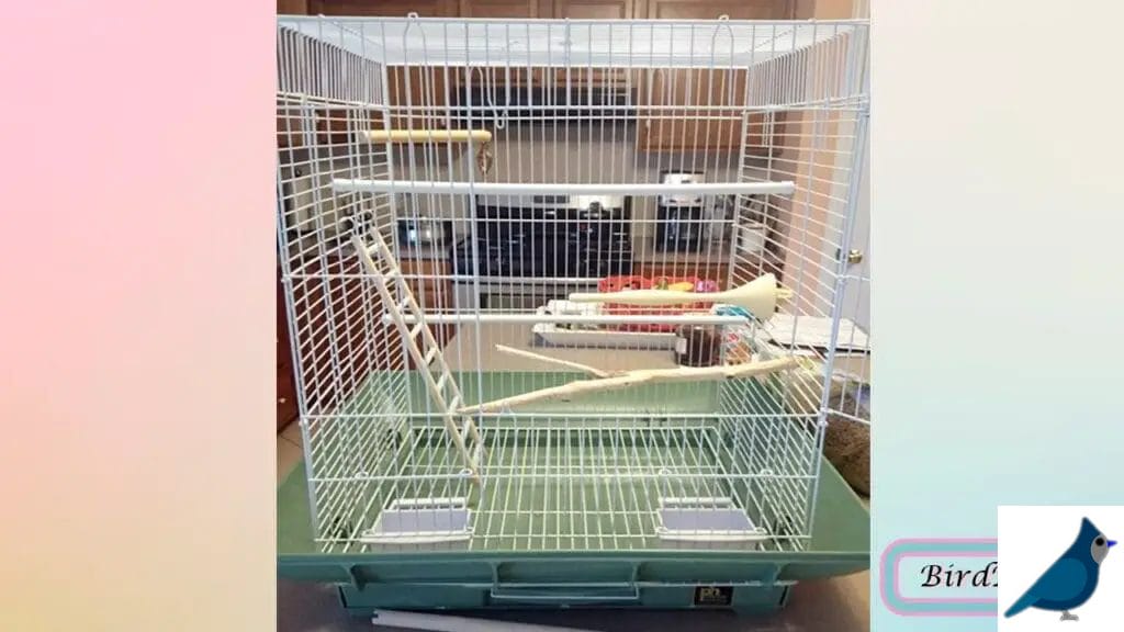 How to Hang a Ladder Horizontally? A Quick Guide 3 Bird Ladder Safety