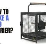 How to Make a Bird Carrier? A Step-by-Step Guide