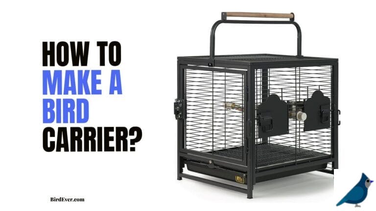 How to Make a Bird Carrier? A Step-by-Step Guide