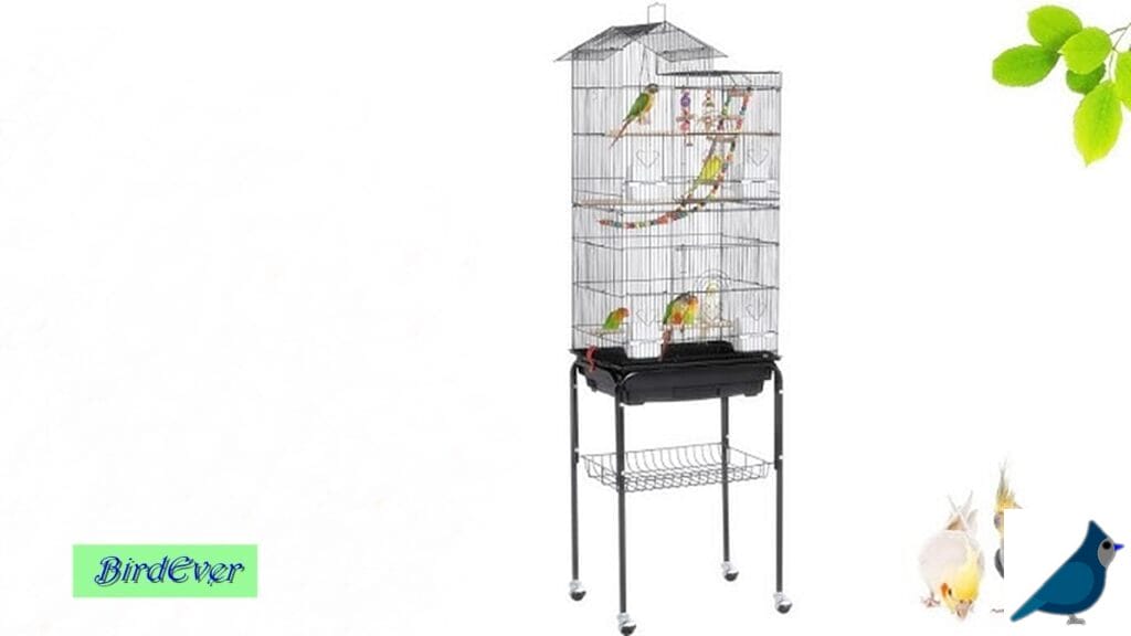 Invest in Metal Bird Cage Ladders