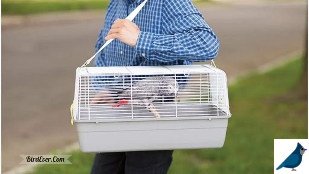 Significance of Bird Carriers for Bird Owners