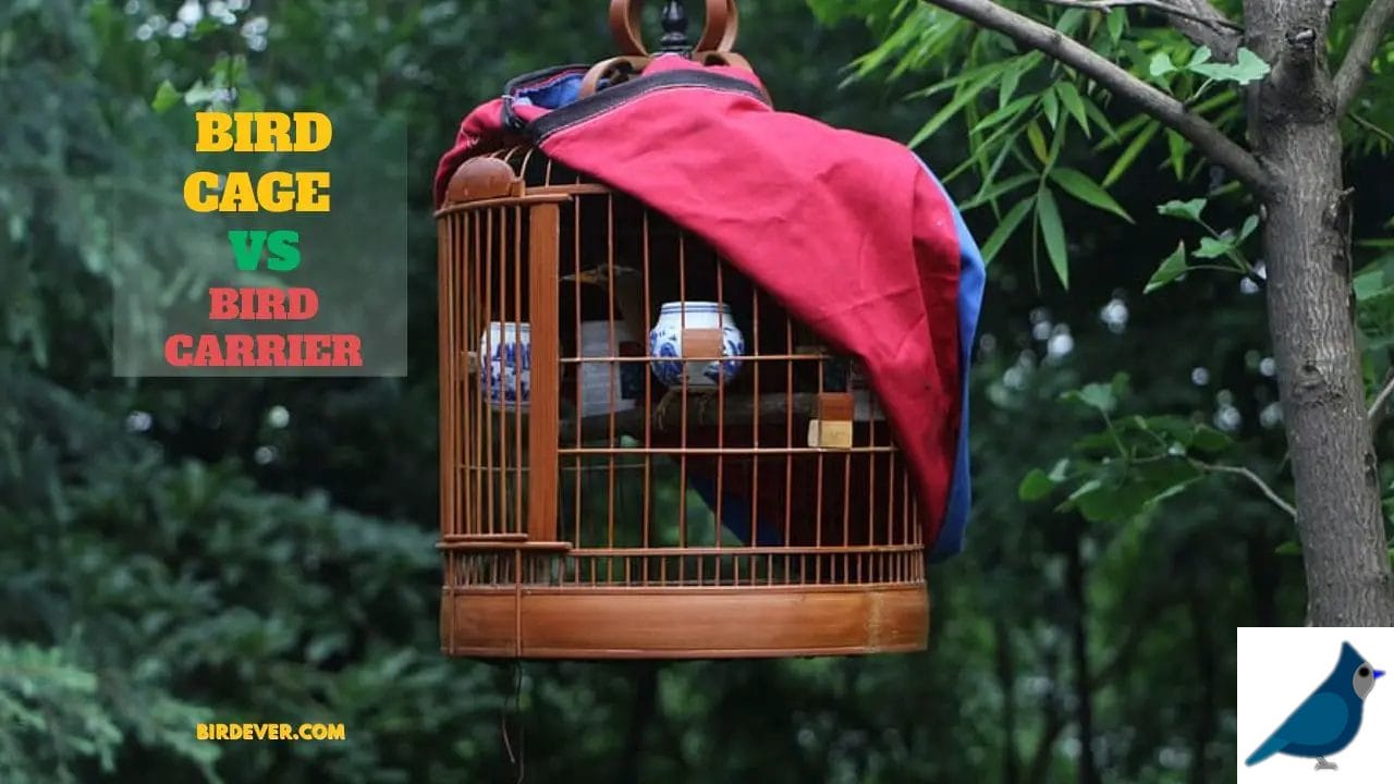 Birdcages vs. Bird carriers