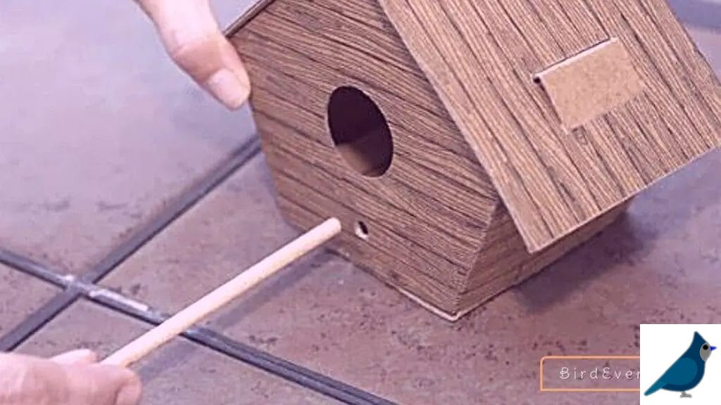 Why Bird Owners Use A Perch on A Birdhouse